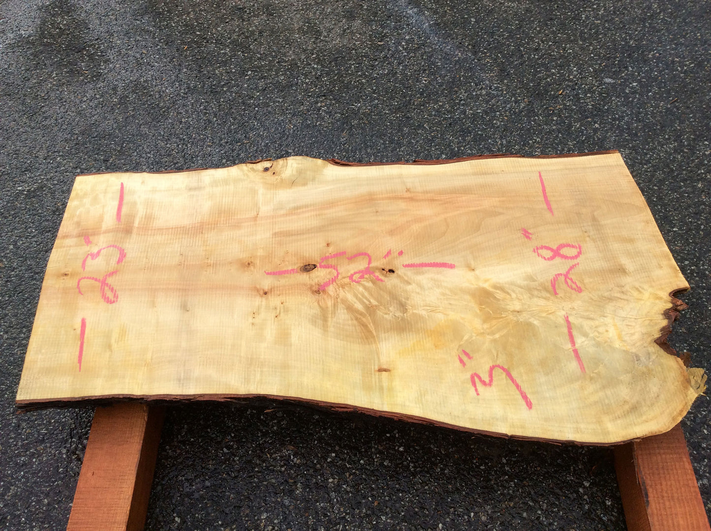 Silver Maple, Crotch Wood