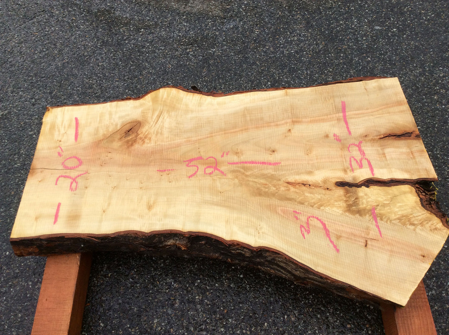 Silver Maple, Crotch Wood