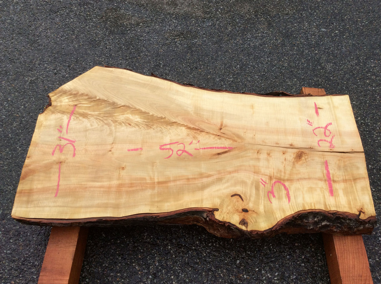 Silver Maple, Crotch Wood