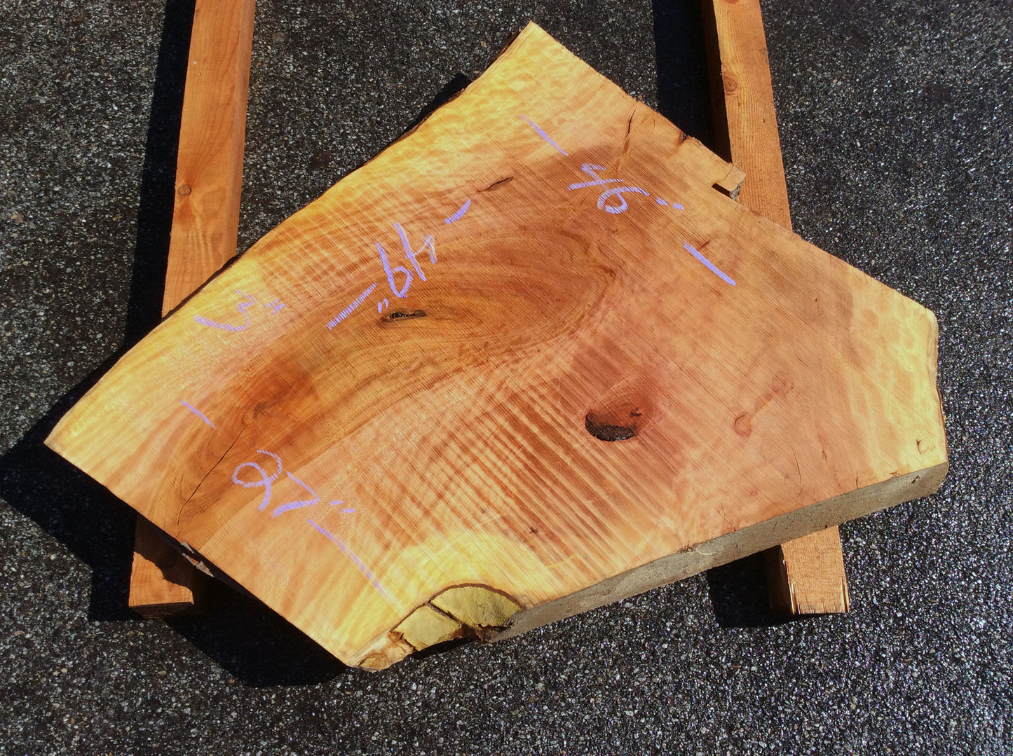 Crotch Wood, California Sycamore