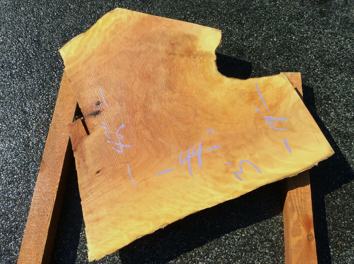 Crotch Wood, California Sycamore