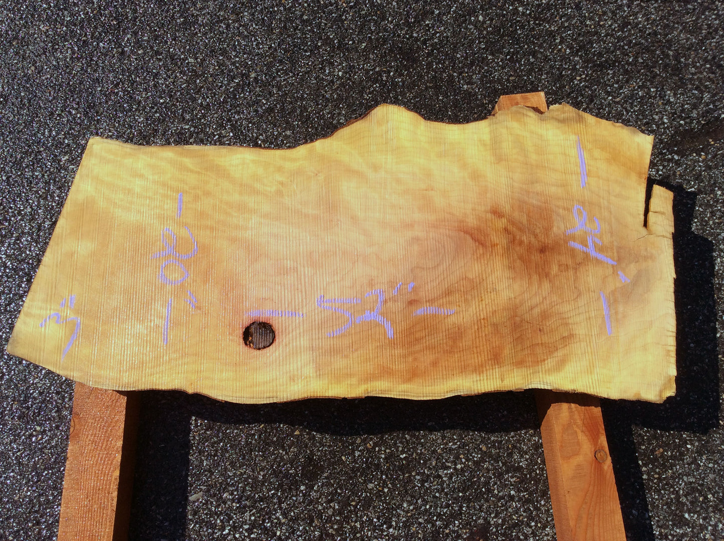 Crotch Wood, California Sycamore