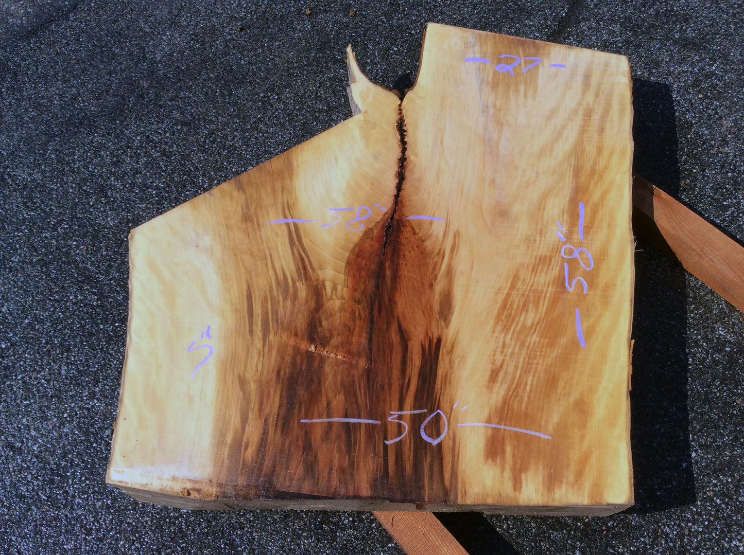 Crotch Wood, California Sycamore