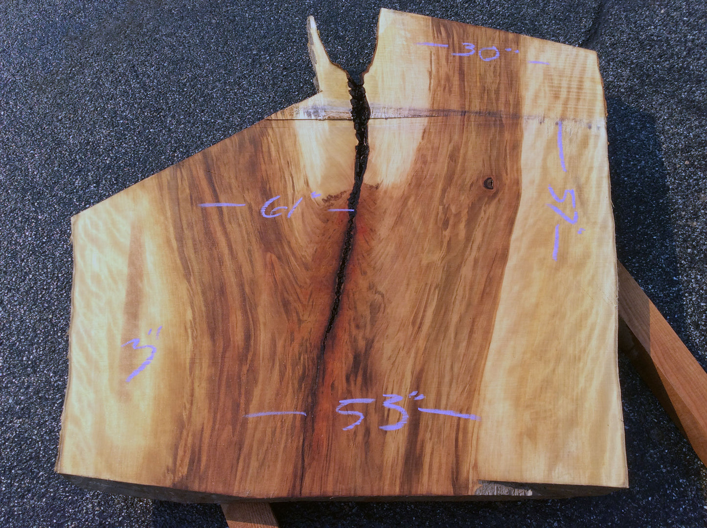 Crotch Wood, California Sycamore