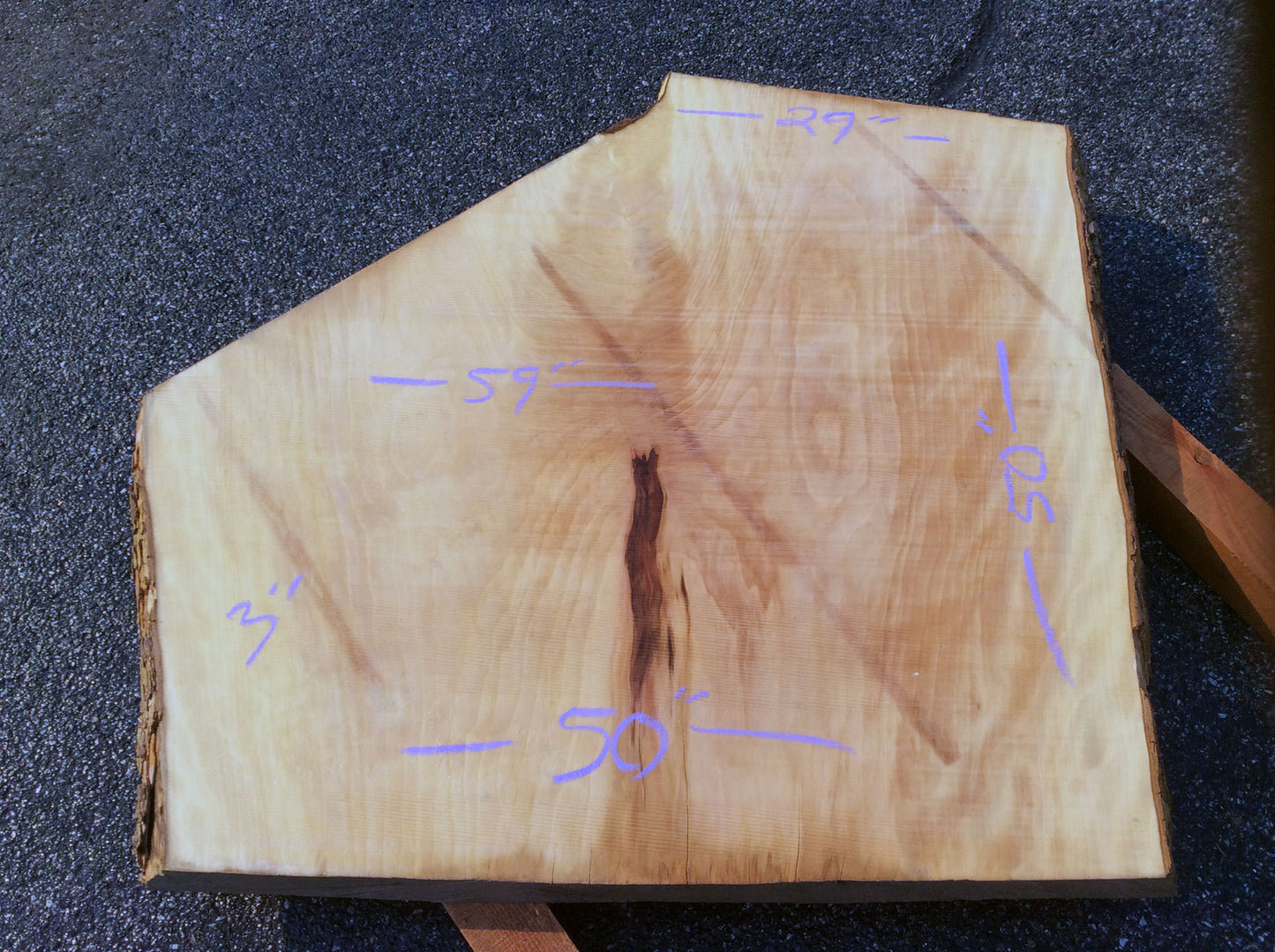 Crotch Wood, California Sycamore
