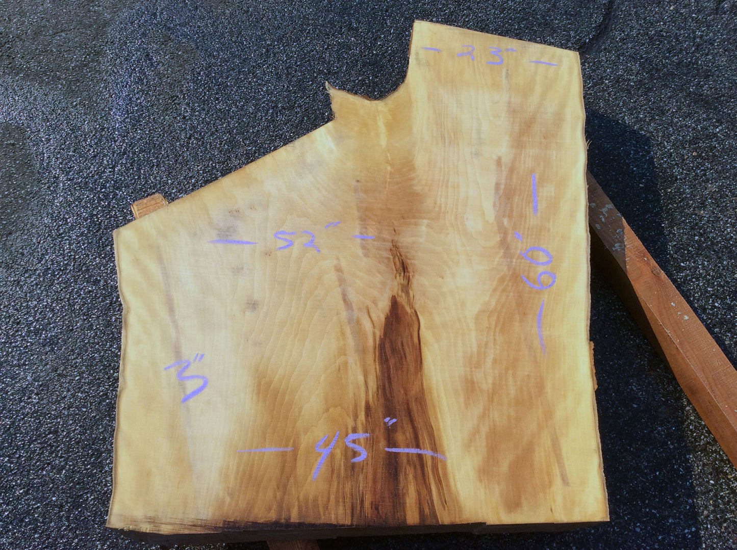 Crotch Wood, California Sycamore