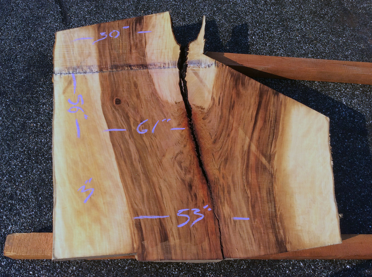 Crotch Wood, California Sycamore