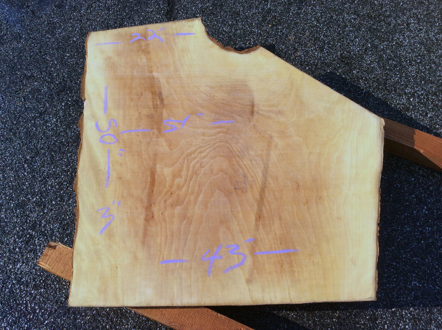 Crotch Wood, California Sycamore