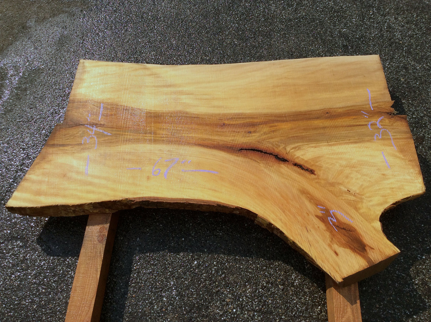 Crotch Wood, California Sycamore