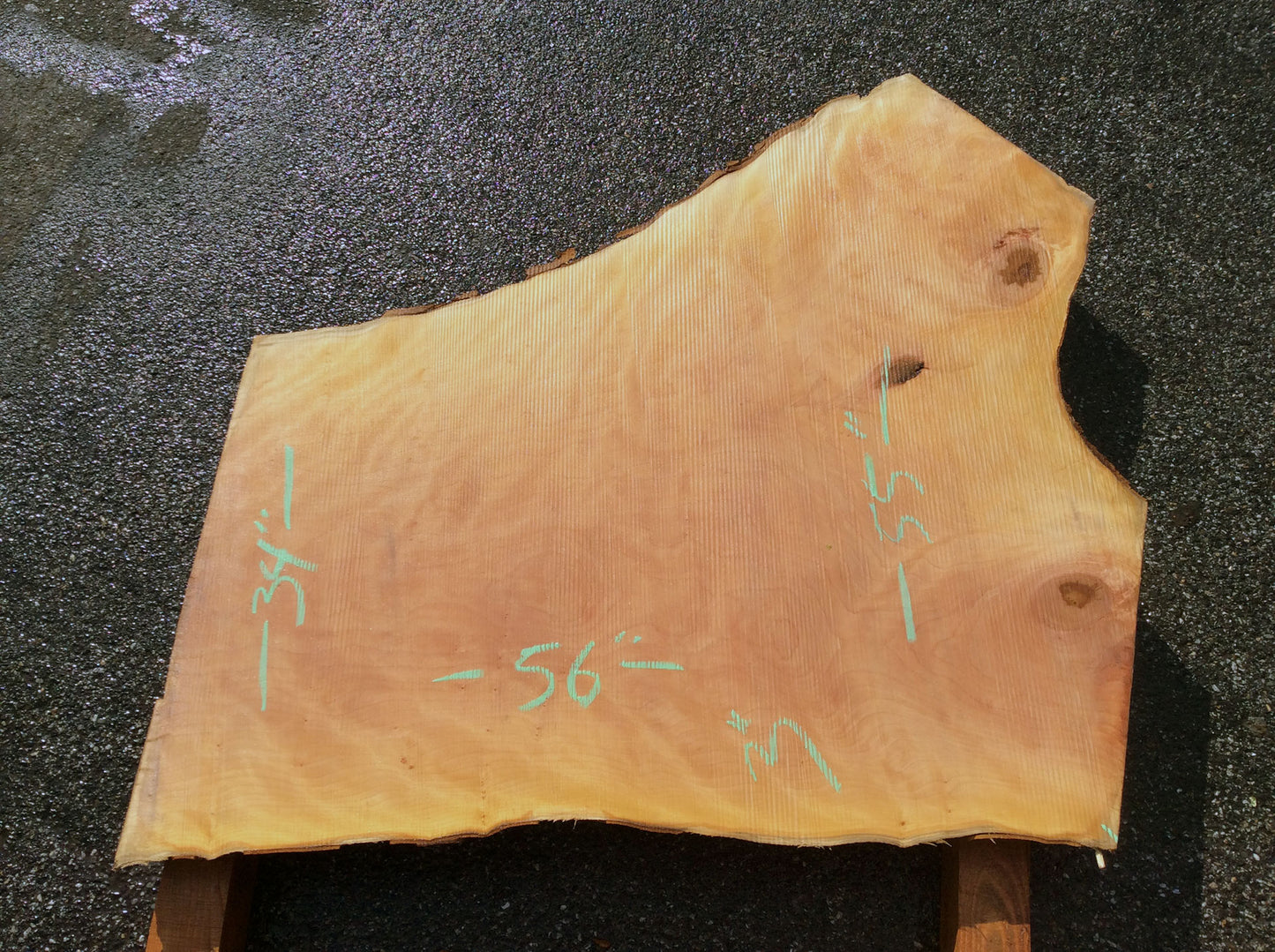 Crotch Wood, California Sycamore