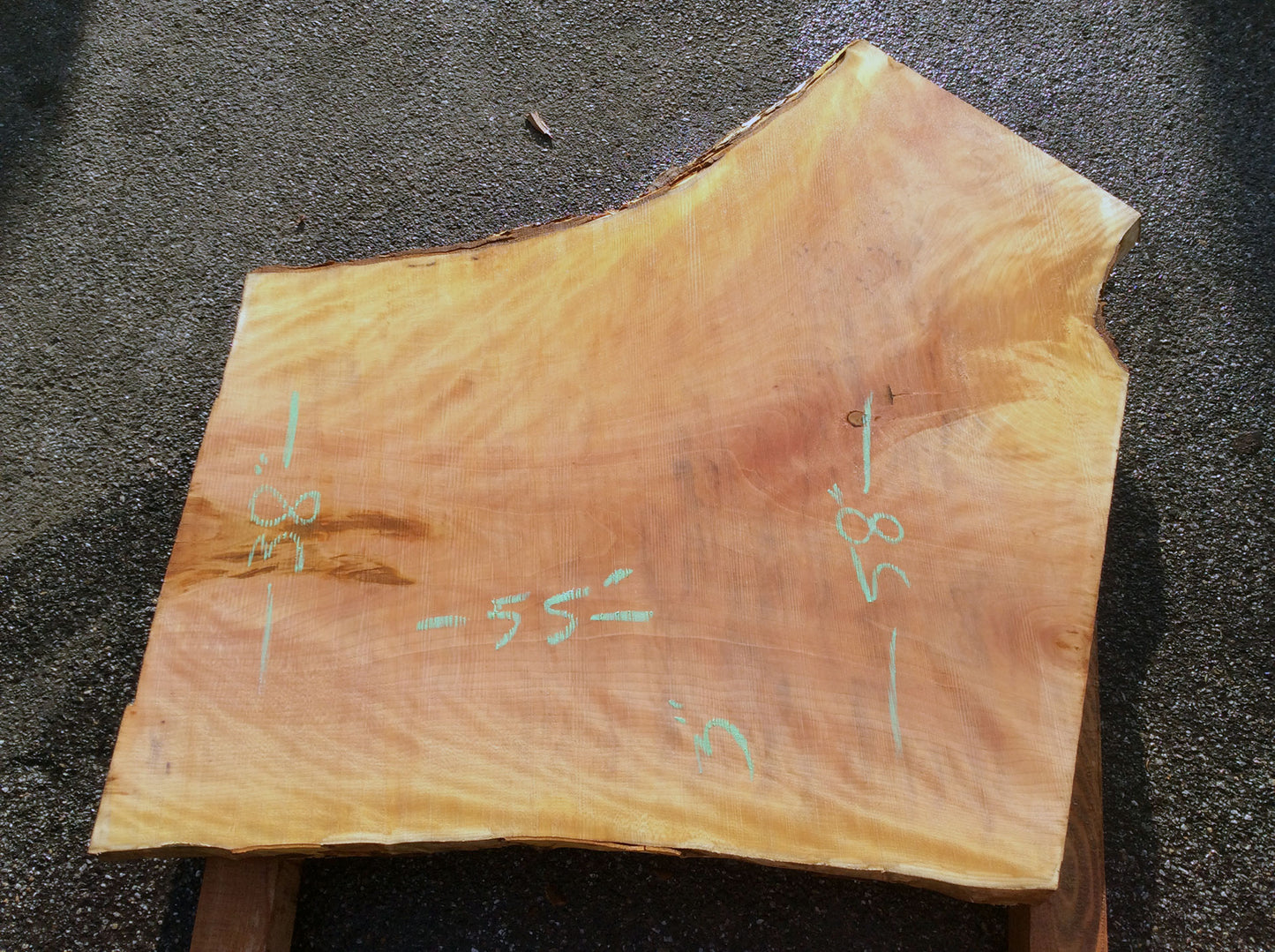 Crotch Wood, California Sycamore