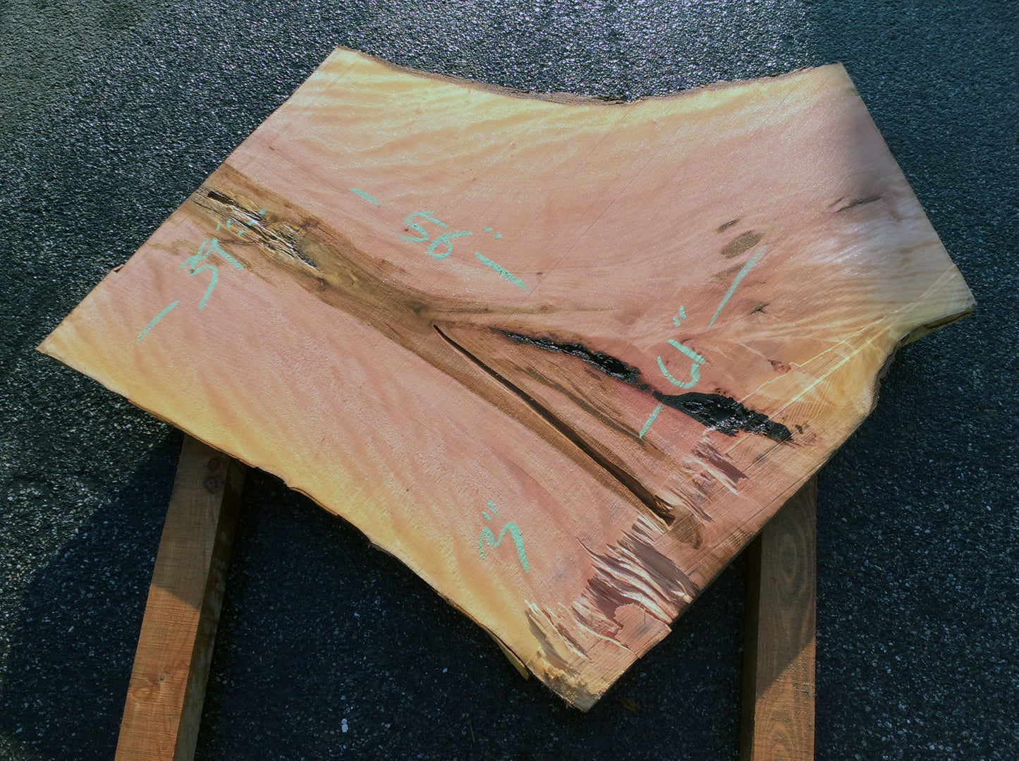 Crotch Wood, California Sycamore