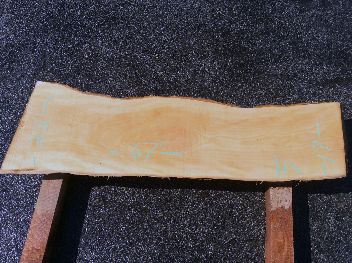 Straight Cut, California Sycamore
