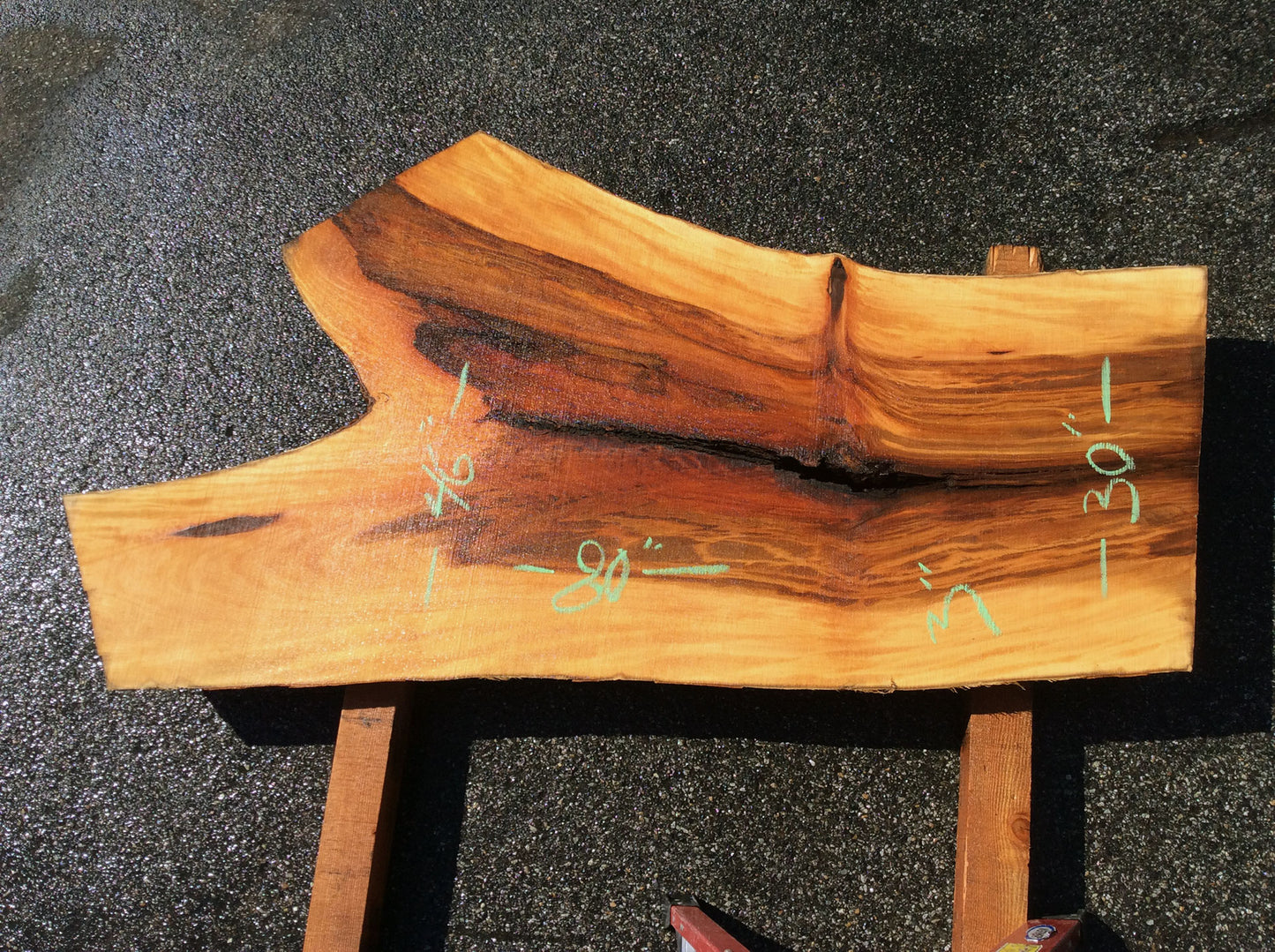 Crotch Wood, California Sycamore