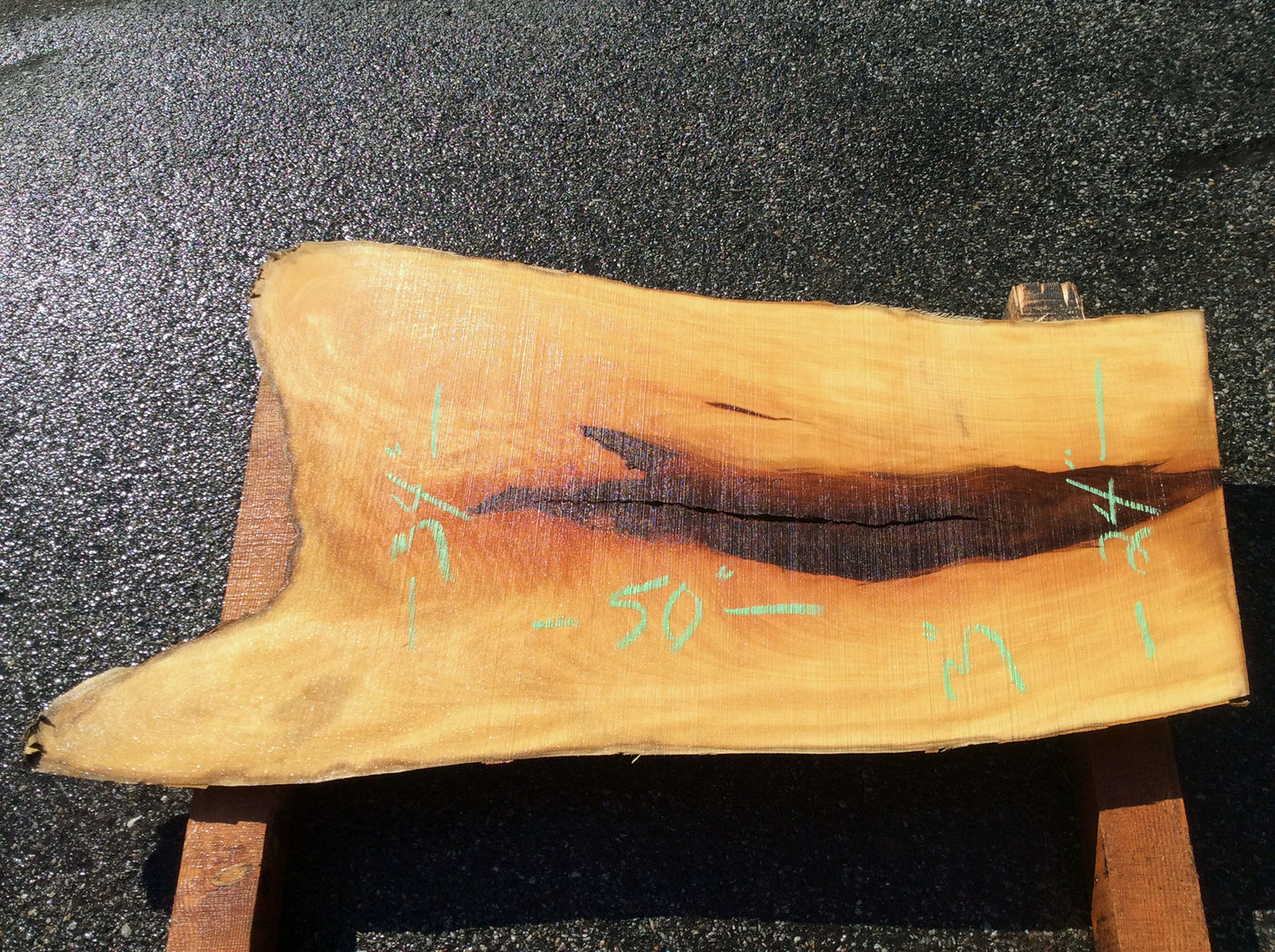 Crotch Wood, California Sycamore