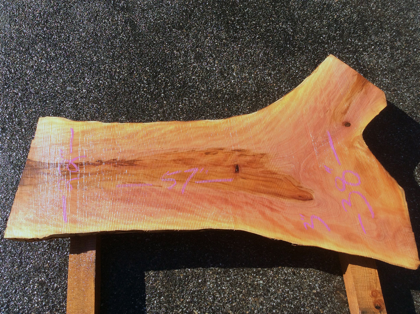 Crotch Wood, California Sycamore