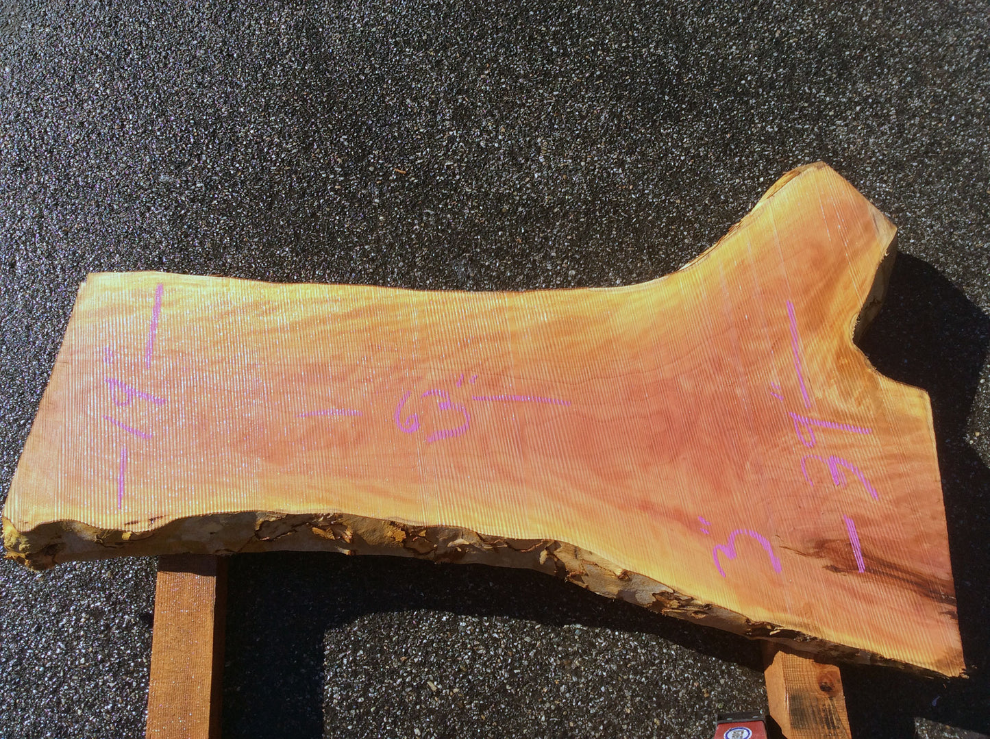Crotch Wood, California Sycamore