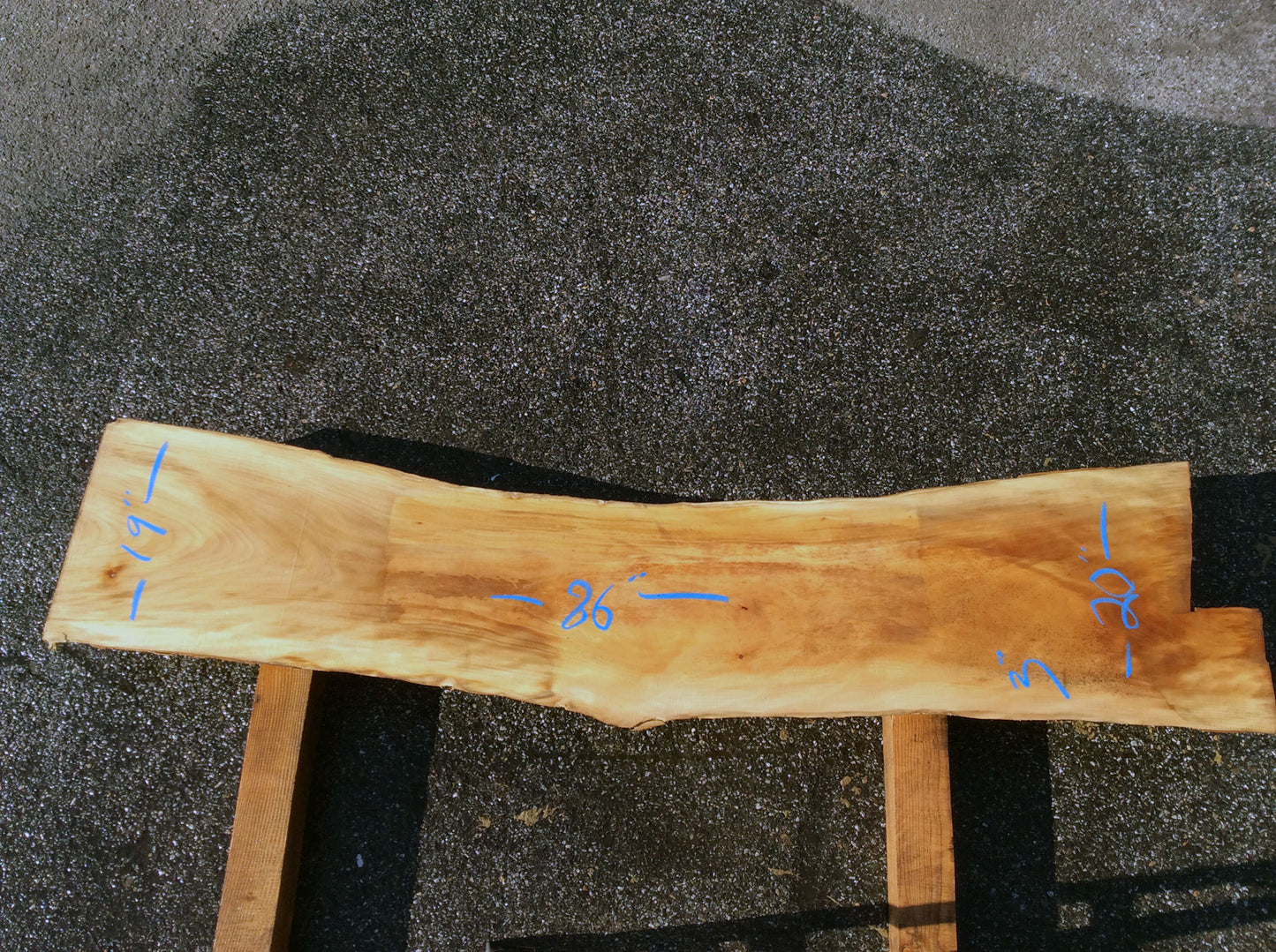 Arched Cut, California Sycamore
