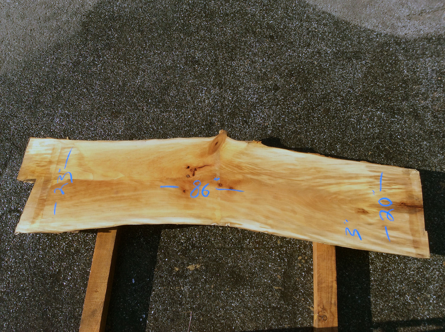 Arched Cut, California Sycamore