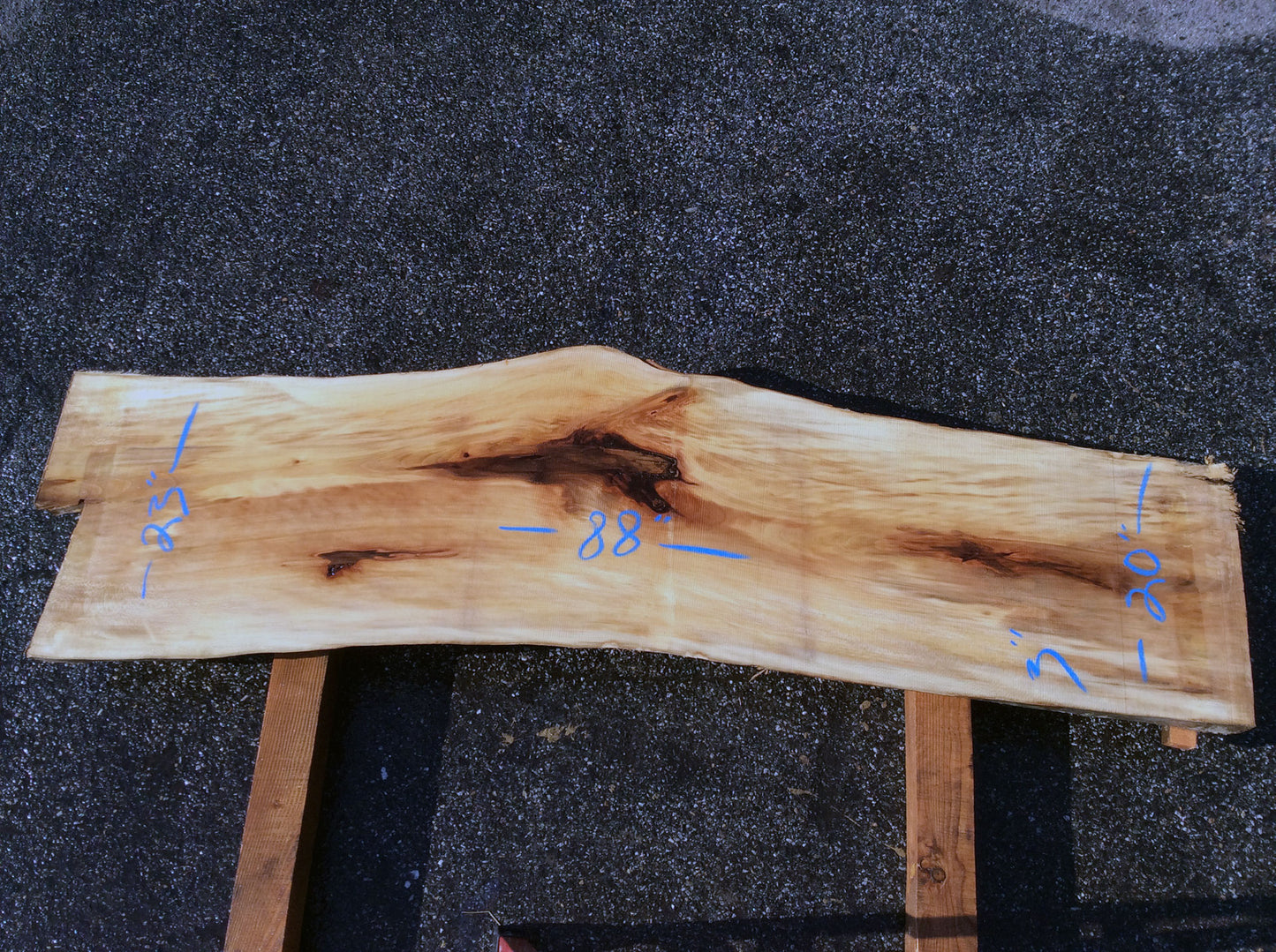 Arched Cut, California Sycamore