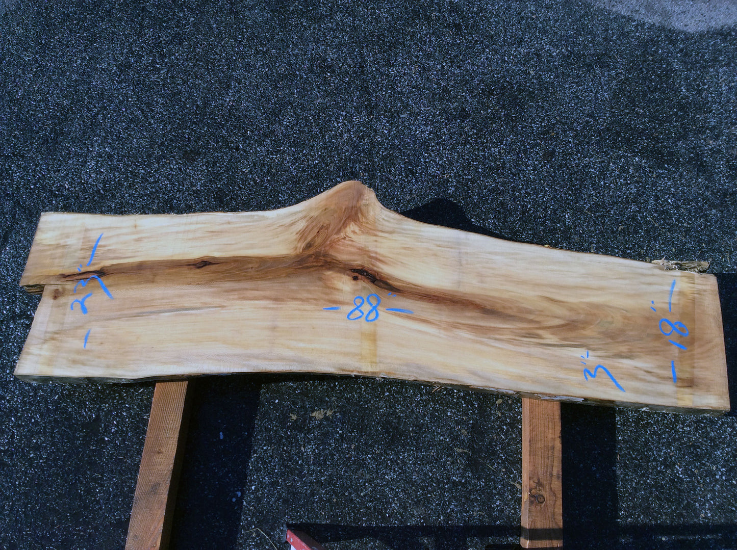 Arched Cut, California Sycamore