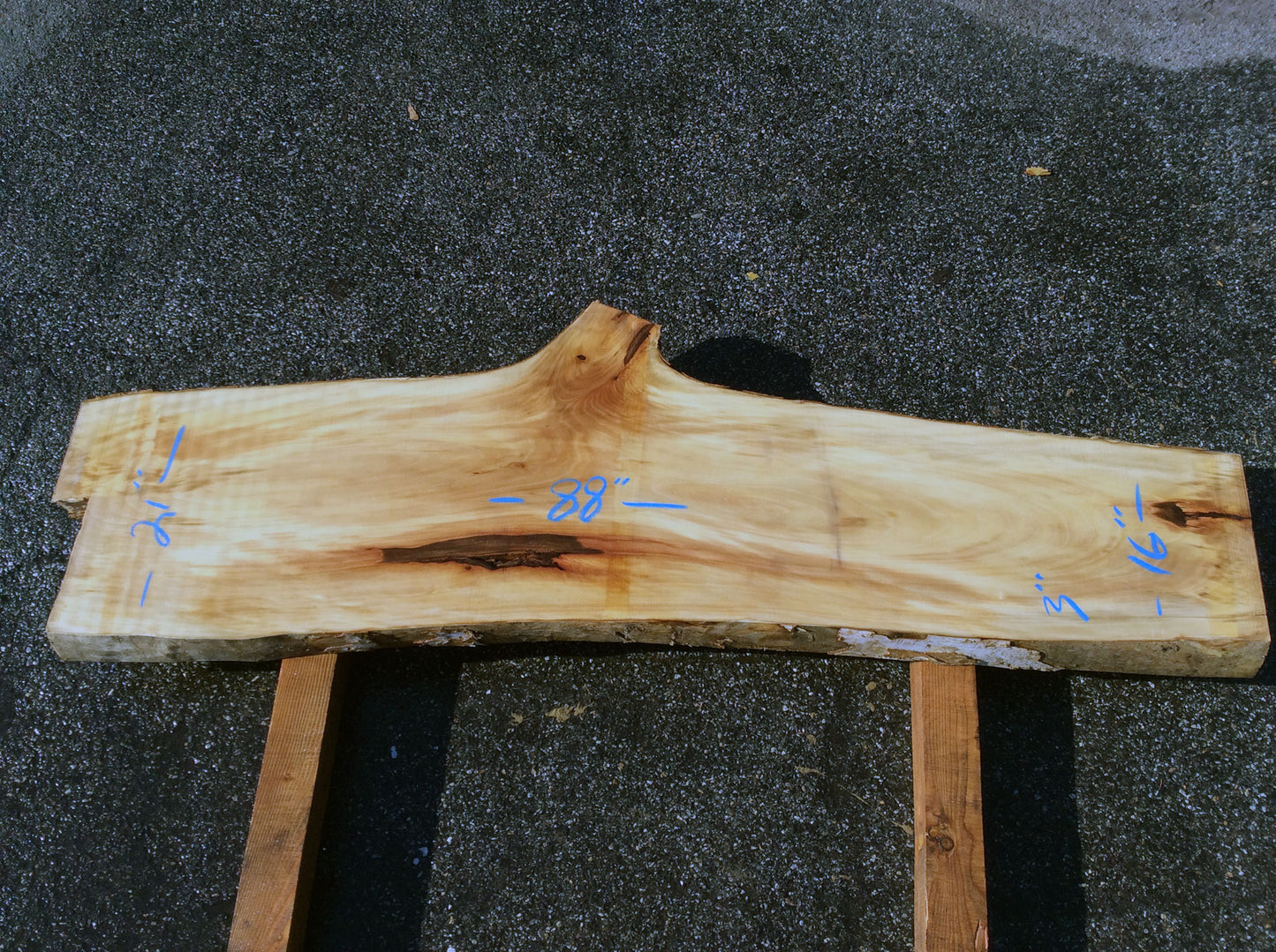 Arched Cut, California Sycamore