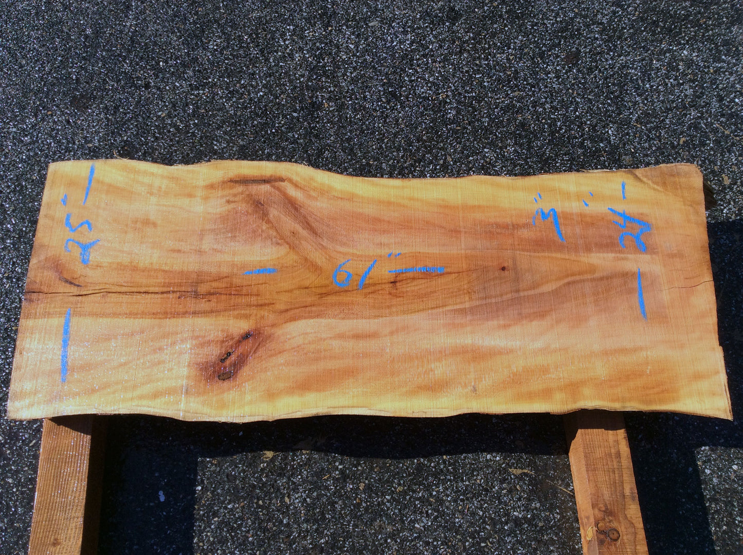 Straight Cut, California Sycamore