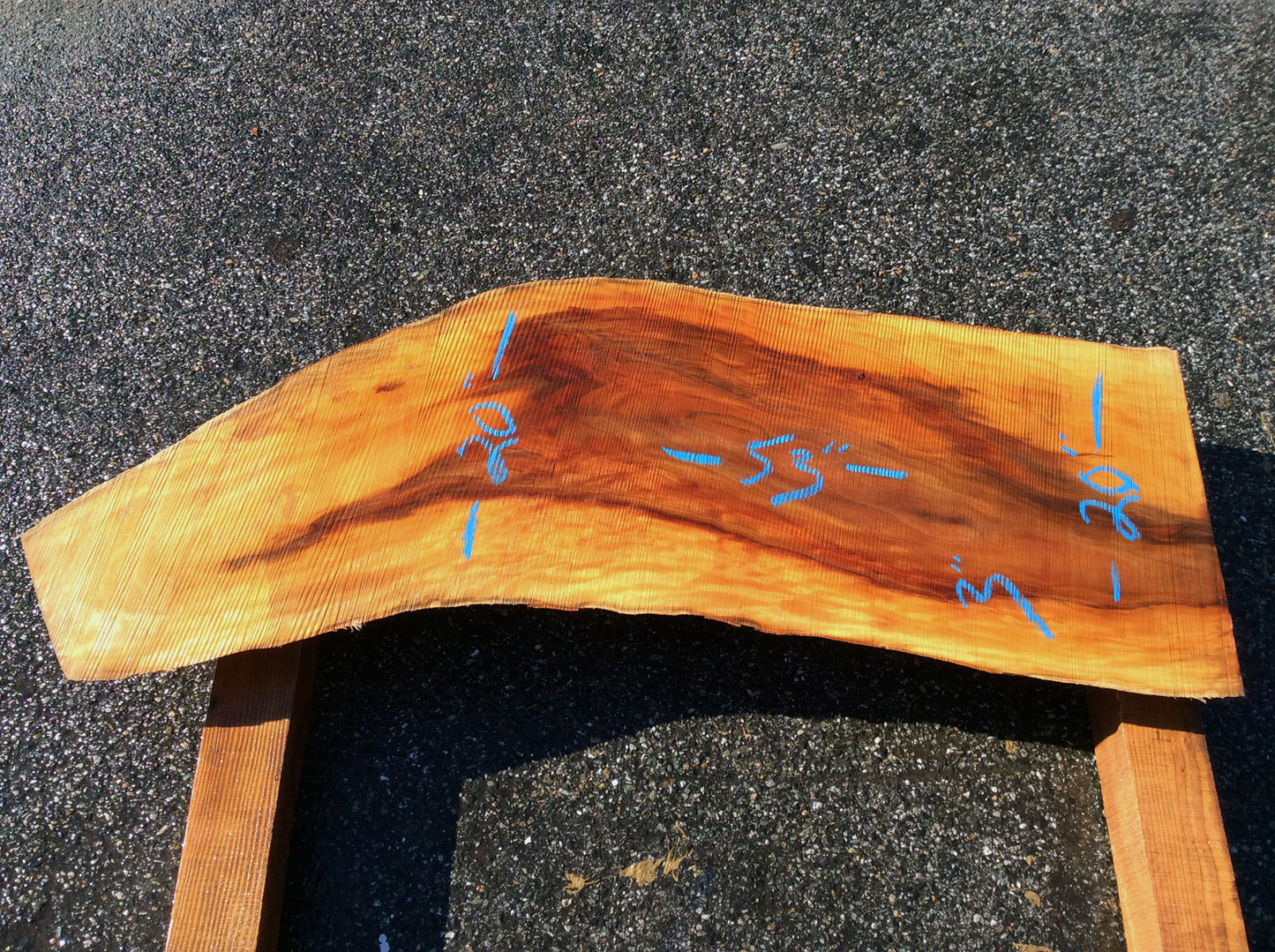 Arched Cut, California Sycamore