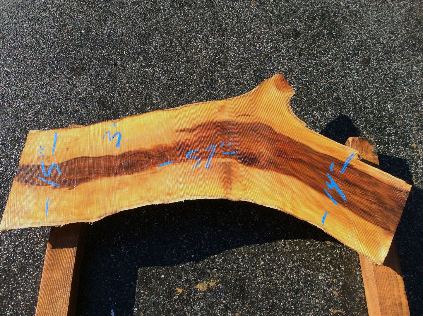 Arched Cut, California Sycamore