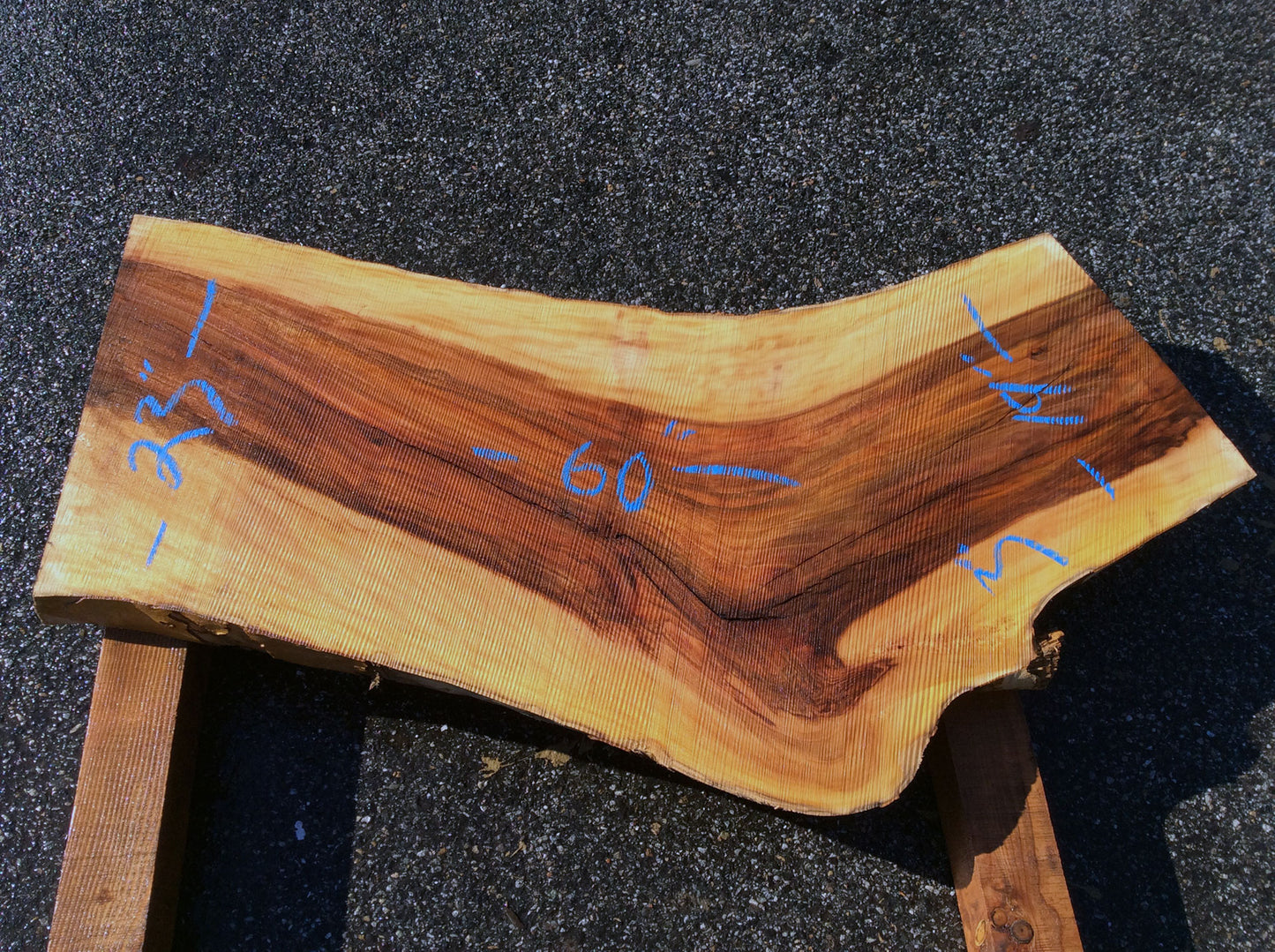 Arched Cut, California Sycamore