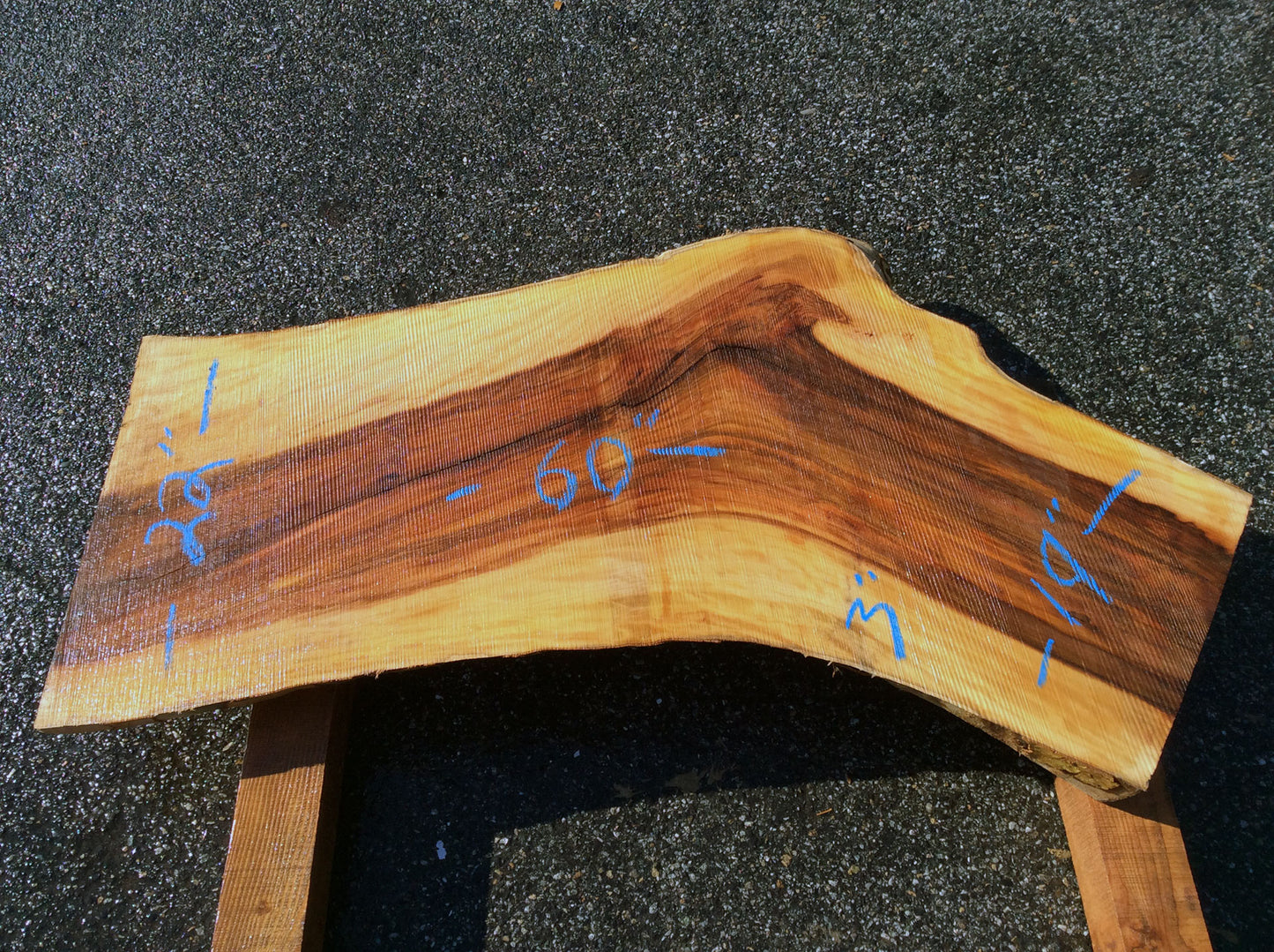Arched Cut, California Sycamore