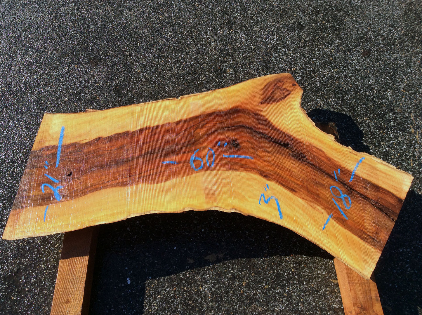 Arched Cut, California Sycamore