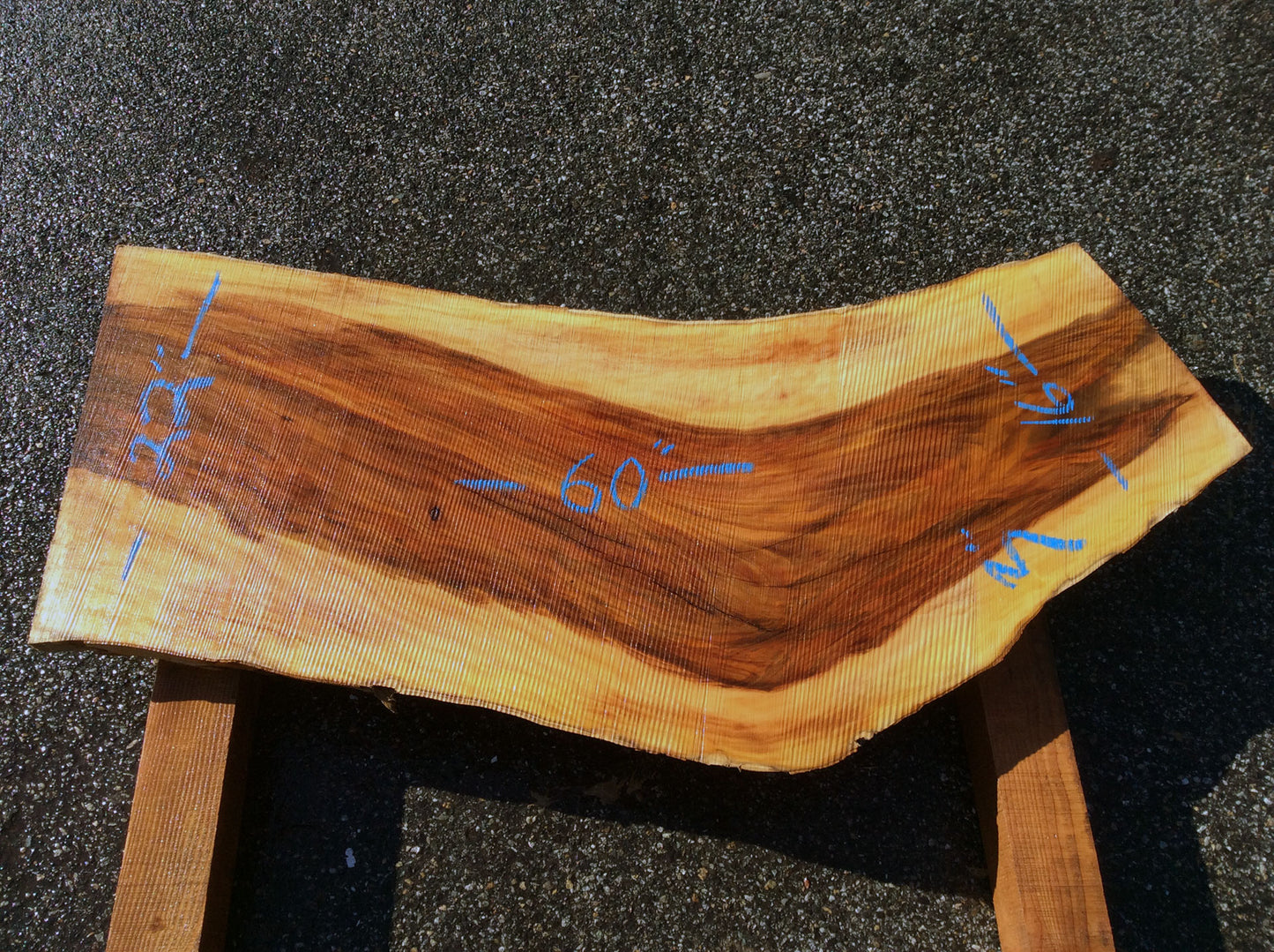 Arched Cut, California Sycamore