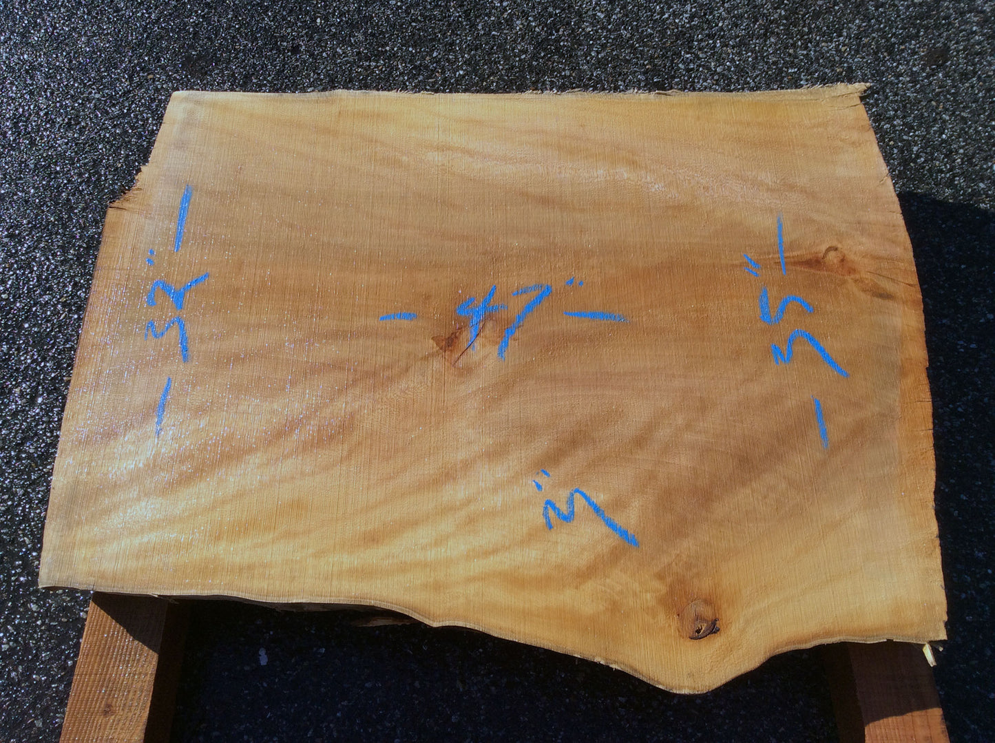 Straight Cut, California Sycamore
