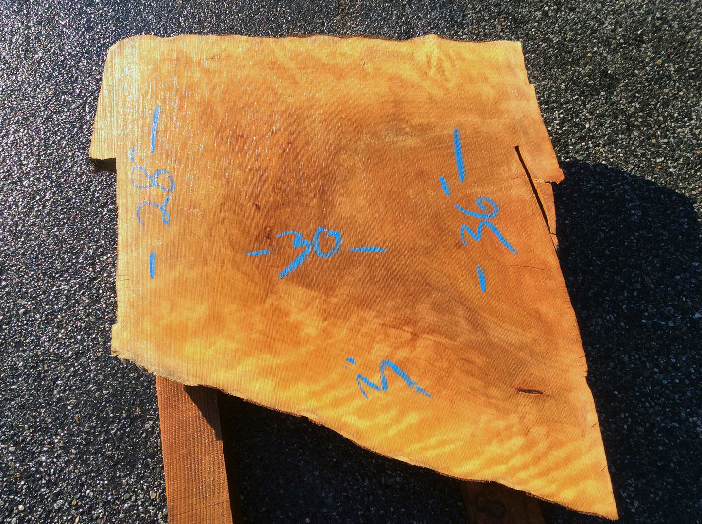 Straight Cut, California Sycamore
