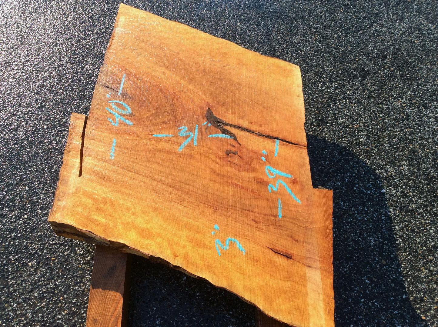 Straight Cut, California Sycamore