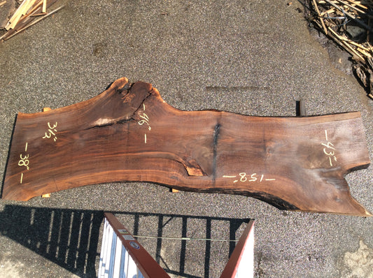 Claro Walnut, Arched branch inclusion