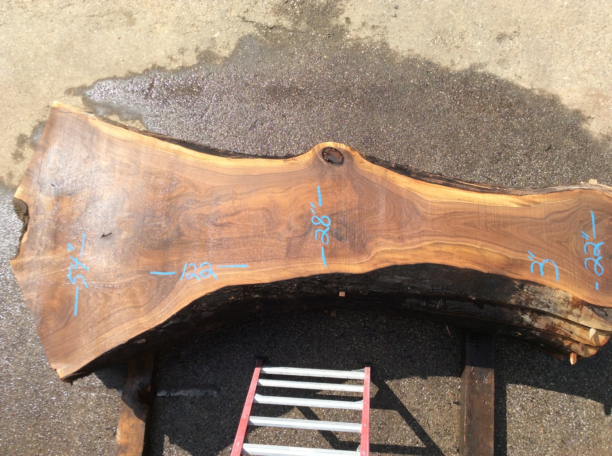Claro Walnut, Large crotch area strong taper