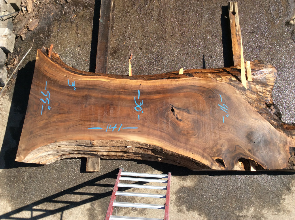 Claro Walnut, Light sap wood bark inclusions