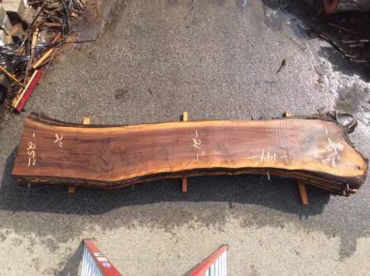 Claro Walnut, Nice figure sapwood