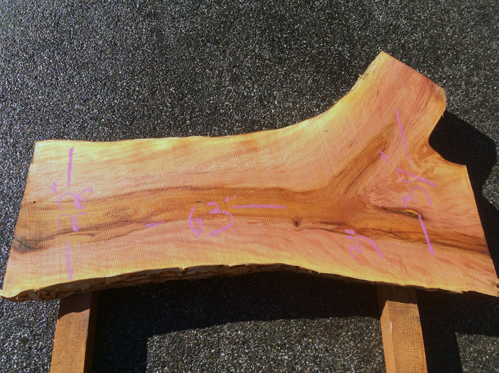 California Sycamore, Short Crotch 2766 – timberlinepostandbeam