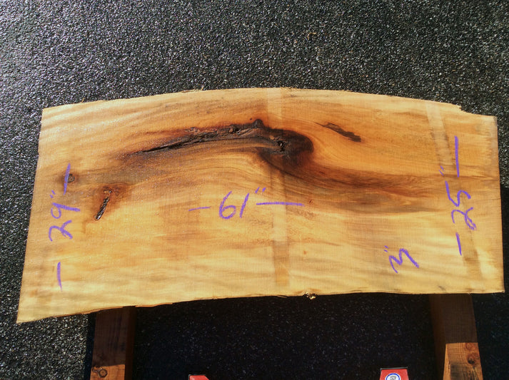 California Sycamore, Short Crotch 2781 – timberlinepostandbeam